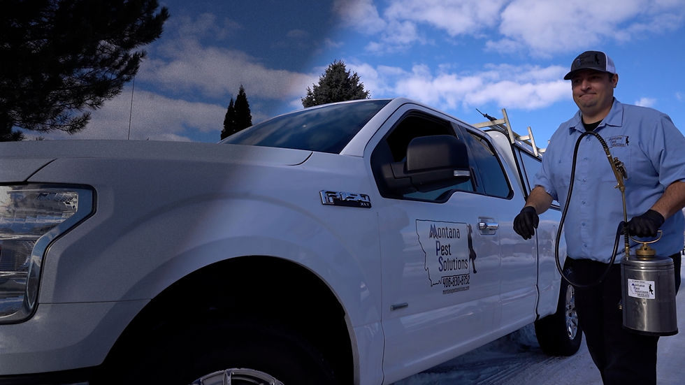 Montana pest solutions staff