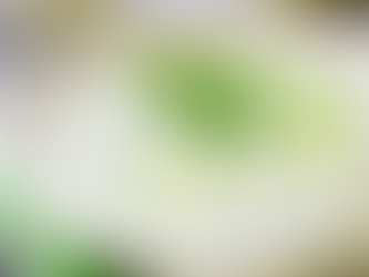 Vegan Tzatziki Sauce