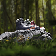 Forest 1 Post.png