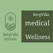Grafik medical Wellness.png