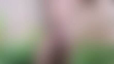 Which blog provider is the best? Here's a test.