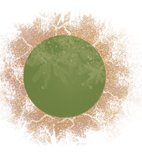 Logo PNG sans texte.png