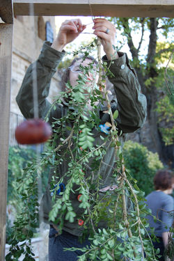 Sensory Tunnel: The Artist Working