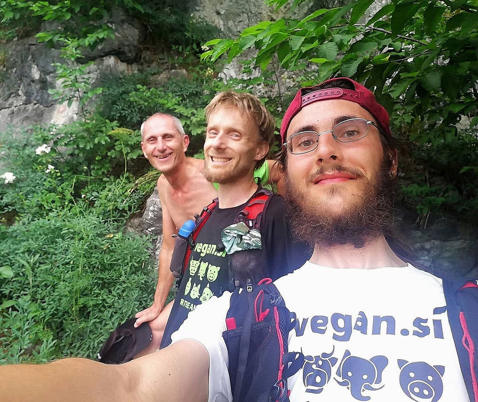 Tekači Vegan.si pod šmarnogorsko Grmado