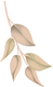 Recurso 30.png