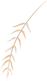 Recurso 31.png