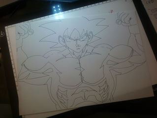 Goku Bodybulding