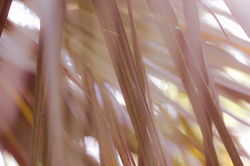 _MG_1798E
