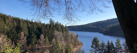 Singlewanderung Schwarzwald am Stausee Kleine Kinzig bei Freudenstadt mit Blick auf See, Waldhänge und ruhige Natur für Singles ab 40