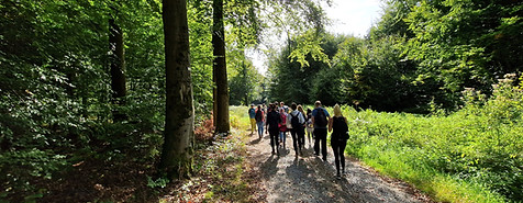 Gruppe wandert auf einem sonnigen Waldweg im Allgäu bei einer Singlewanderung für Singles der Altersklasse 30 bis 55 zur Argen und Schloss Achberg.