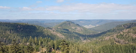 Singlewanderung Schwarzwald am Kniebis bei Freudenstadt mit Ausblick über bewaldete Hügel und Täler rund um den Ellbachsee für Singles 25–40