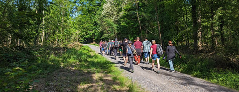 Gruppe bei einer Singlewanderung in NRW bei Köln im Naafbachtal auf Waldweg durch naturbelassene Landschaft