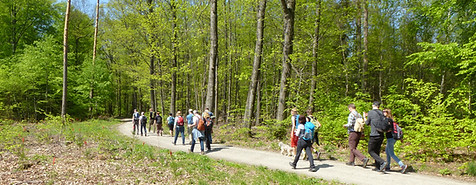 Singlewanderung Schwarzwald bei Freudenstadt mit Gruppe auf breitem Waldweg, Natur und entspannter Atmosphäre rund um Vogteiturm und Loßburg für Singles 30+