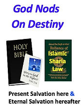 cover Destiny.jpg