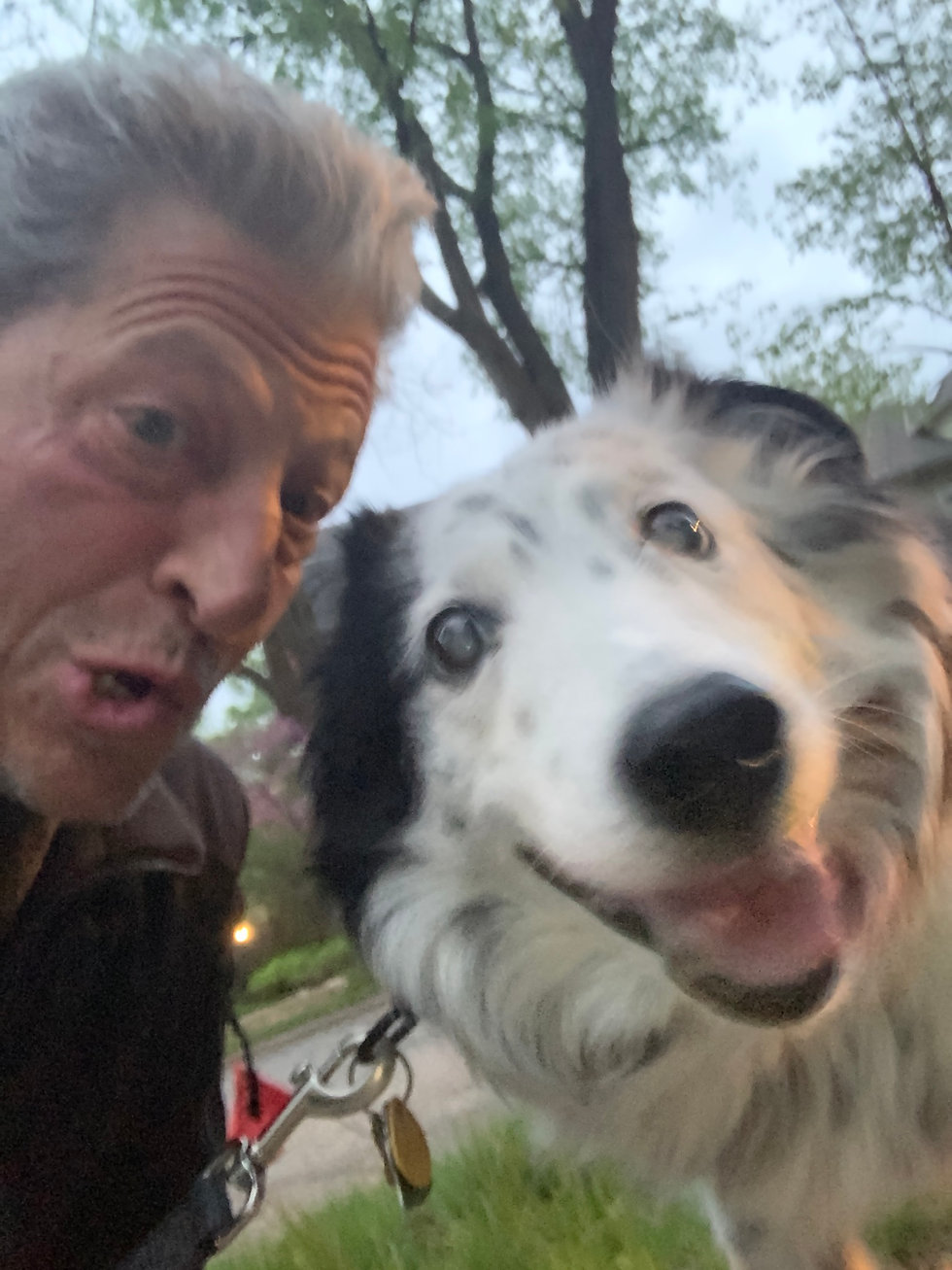 Face of man with grey hair and white dog face with black spots looking down at camera