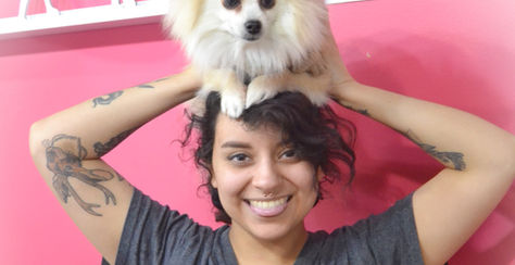 7 Things Groomers Wish You Knew