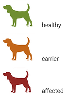 1_Autos_rec_2.png_x67537.png