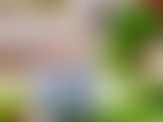 Why is a Detox Beneficial for Weight Loss