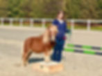 Kinder SFRV HorseChallenge® Turnier Willisau