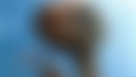 Jesus Lord of Aliens?