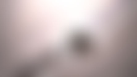 Cohabitation: Spirit or Letter of the Law?