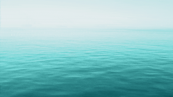 ezgif.com-gif-maker2.gif
