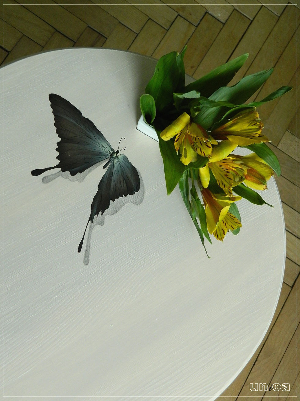 Кофейный столик "Бабочка"