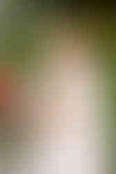 Brautpaar küsst sich, schaut sehr glücklich