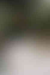 Hochezitsdekoration am Bodensee