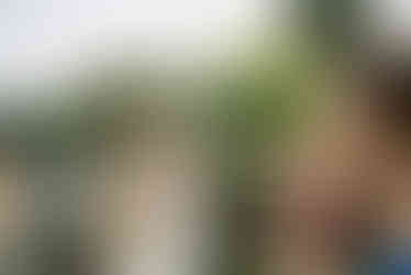 Brautstrauß werfen an der Hochzeit am Bodensee