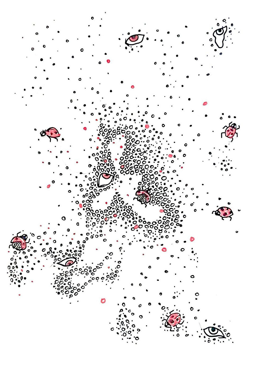 The Ladybird has Eyes on Her Back