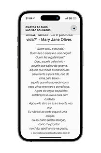 WhatsApp Image 2025-07-18 at 21.09.53.jpeg