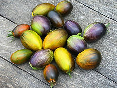 Atomic Grape Tomato