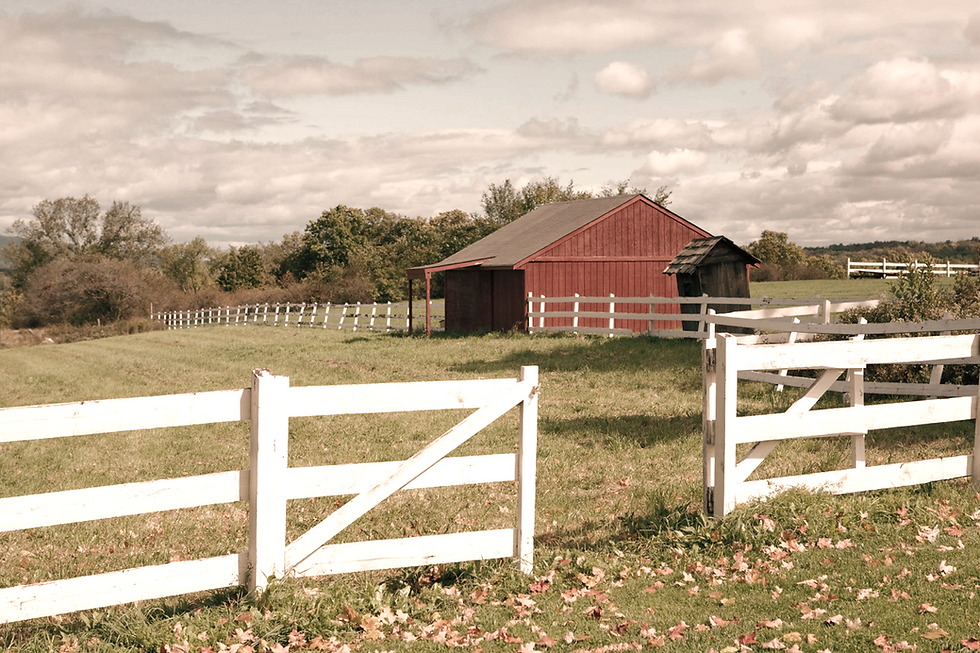 Red Barn Landscape