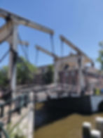 Special type bridge