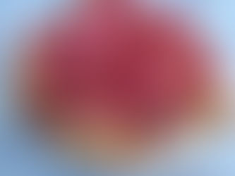 Cestino con crema pasticcera e fragole