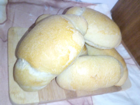 Panini all'olio d'oliva