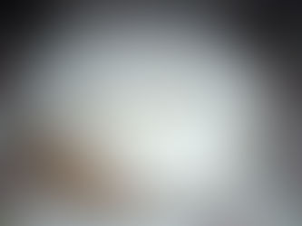 Torta con farina integrale