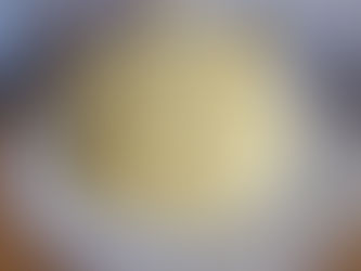 Mimosa per tutte le Donne