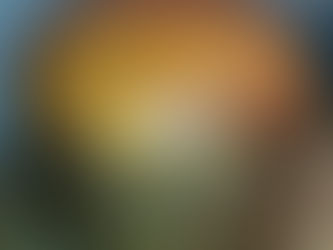 Panettone all'olio d'oliva senza burro