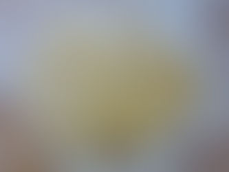 Procedimento della Pastiera