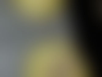 Panini per Hamburger