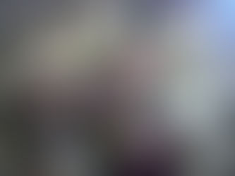 Il Principe del Carciofo Romanesco Ripieno