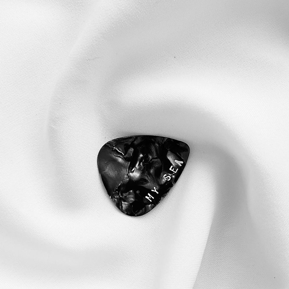 ภาพขนาดย่อ: GRAY GUITAR PICK