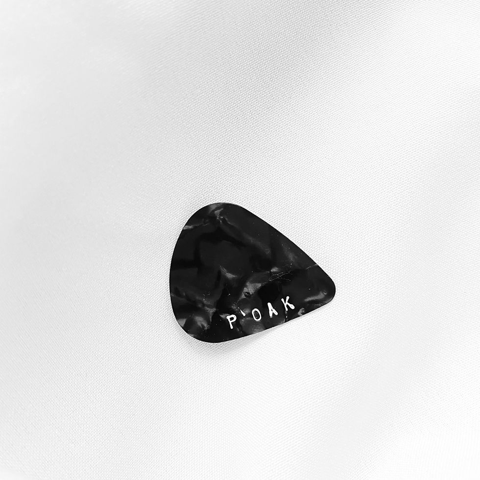 ภาพขนาดย่อ: GRAY GUITAR PICK