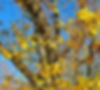 Herbstferien 2026