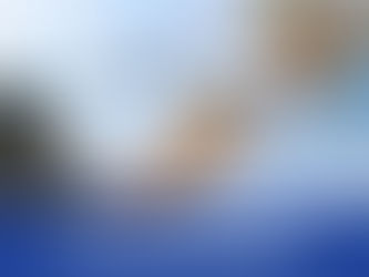 What are the requirements for New Zealand Citizenship?