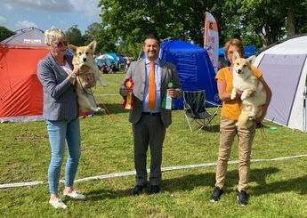 Sorina vanersborg.jpg