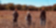 Upland Hunting at the Feathered Forest Hunt Club in Bedias, Texas