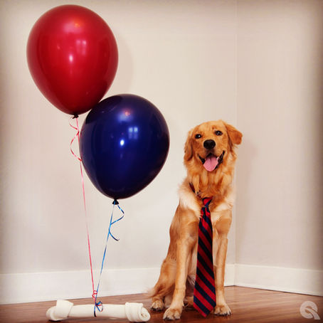  Aniversário dos Pets 